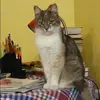 Отзыв от Серафима Ананьева